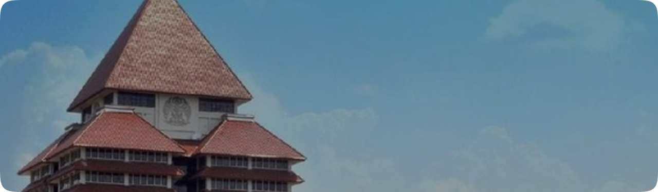 Custom System Development Services