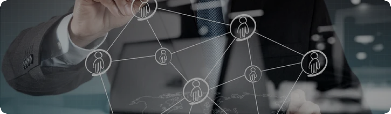 Custom System Development Services