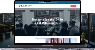 System Development Services